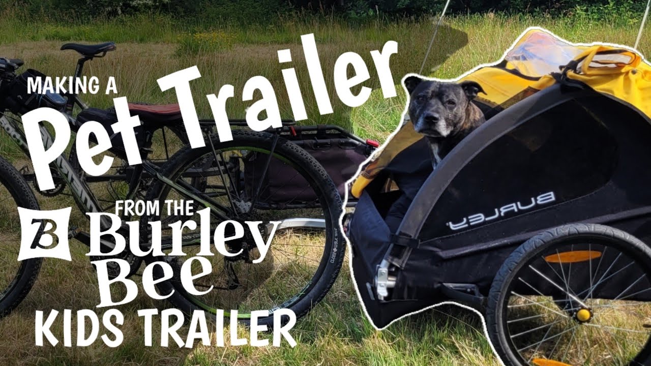 Making A Pet Trailer From The Burley Bee & Getting Our Dog Comfortable Riding In It