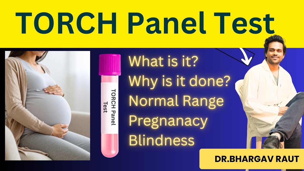 TORCH Test in Pregnancy - Meaning, Normal Range
