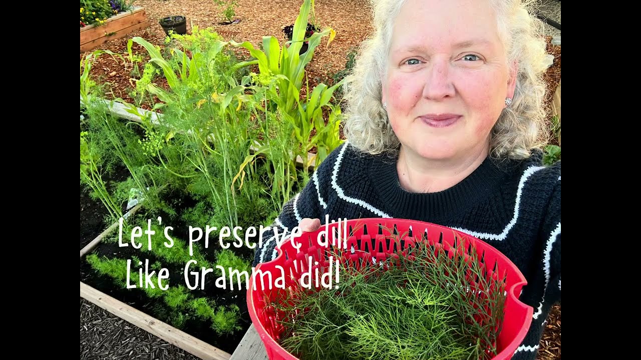 Let’s preserve dill like Gramma did! How to preserve herbs from the garden