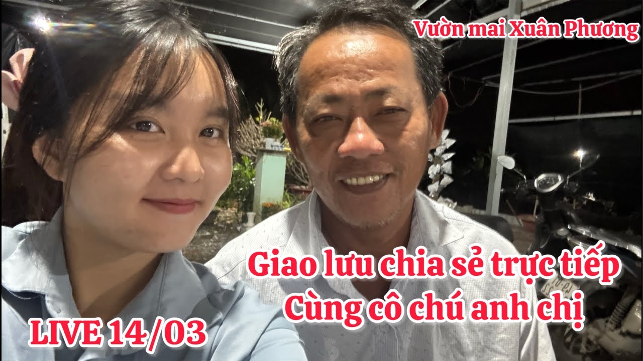 Vườn Mai Xuân Phương đang phát trực tiếp!