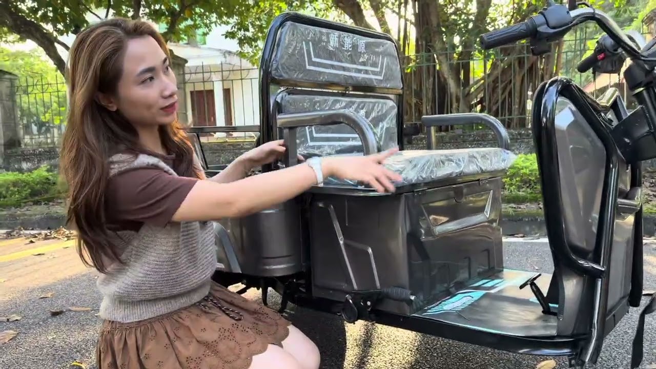 Xe điện 3 bánh chở hàng 
