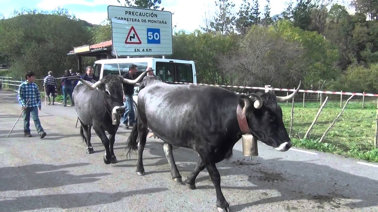 feria Lamason 08-11-2014