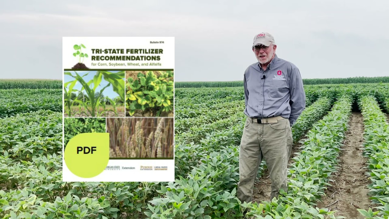 Potassium on Soybeans