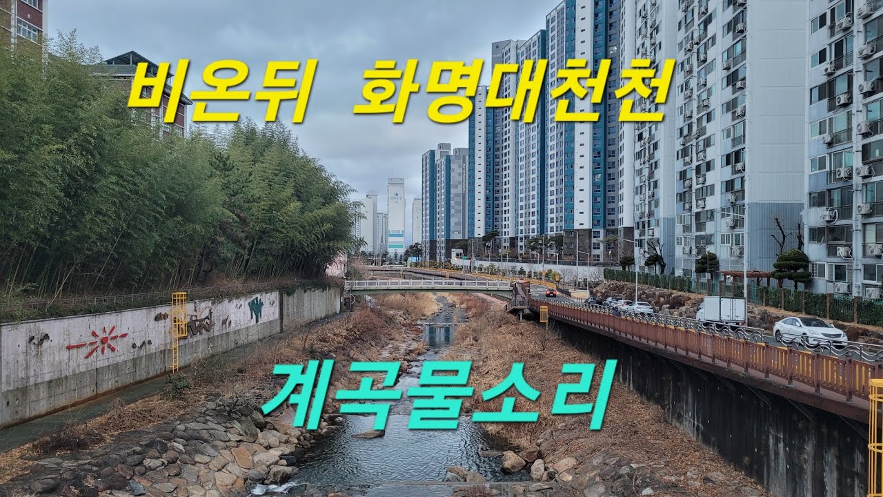 비온 뒤 화명대천천 💙물소리만 들어도 힐링되는 아침산책