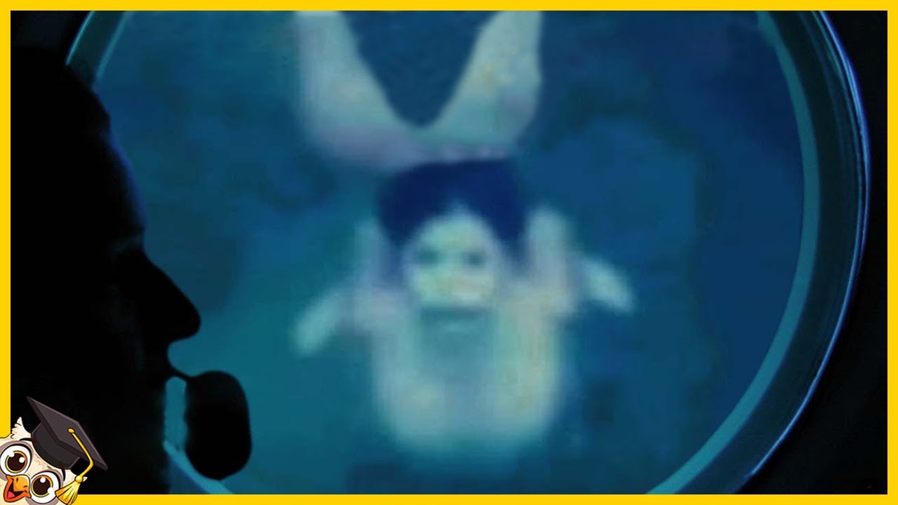 10 Sereias Capturadas na Câmera na Vida Real