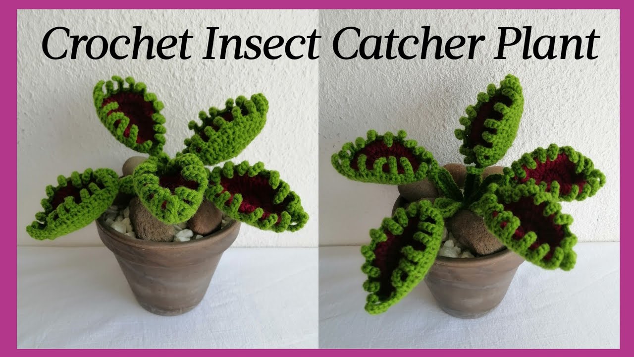 Crochet Insect Catcher Plant (Carnivorous Plant)