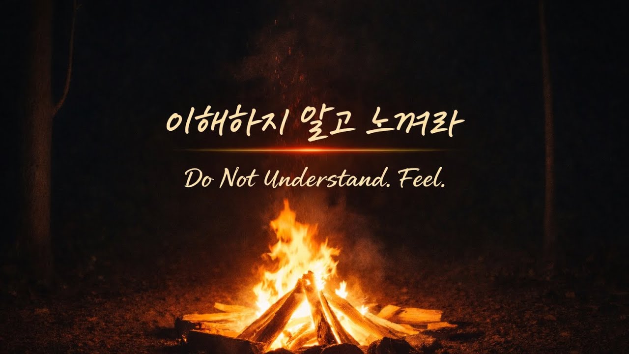 이해하지 말고 느껴라  |  Do Not Understand. Feel.