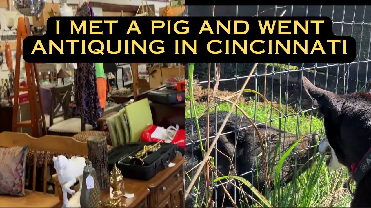 Meet a Pig and Shop for Antiques in Cincinnati