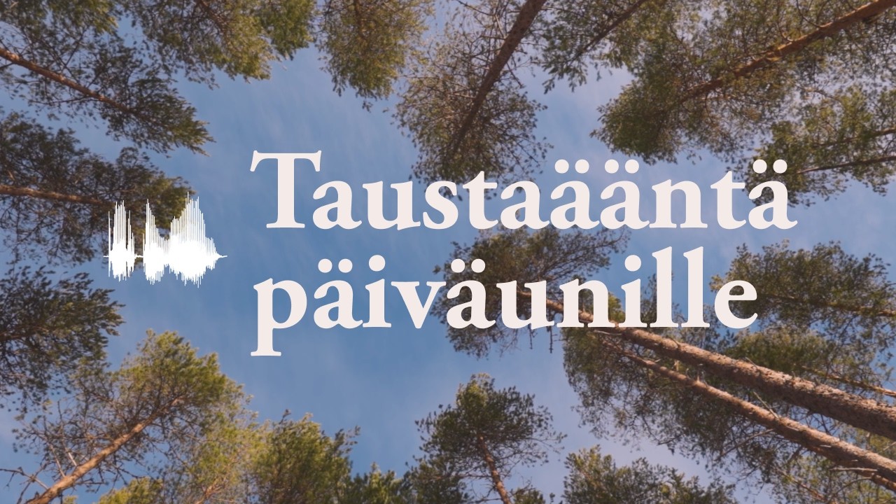 Luonnollista valkoista kohinaa päiväunille // Tuulinen kevätpäivä