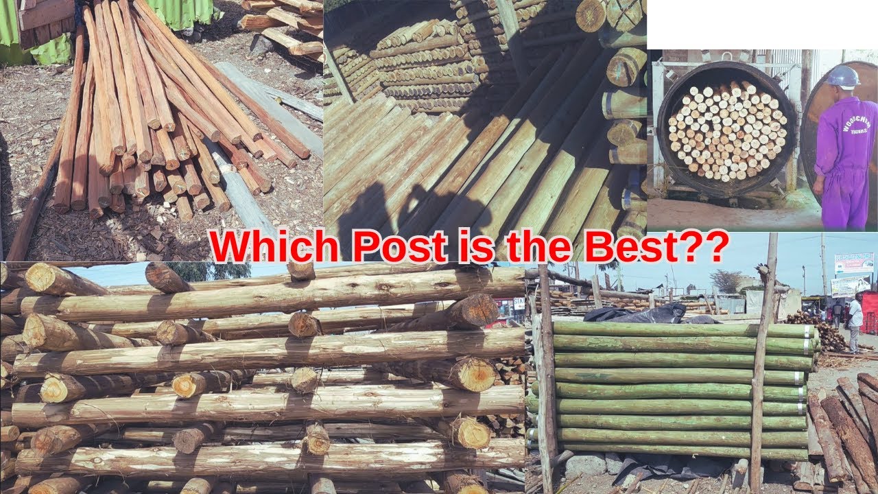 Fencing In Kenya: Types of wooden Posts/ The Good the Bad and the Price