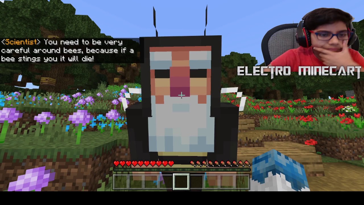 THIS MAP IS AMAZING! Minecraft Way of the Bee