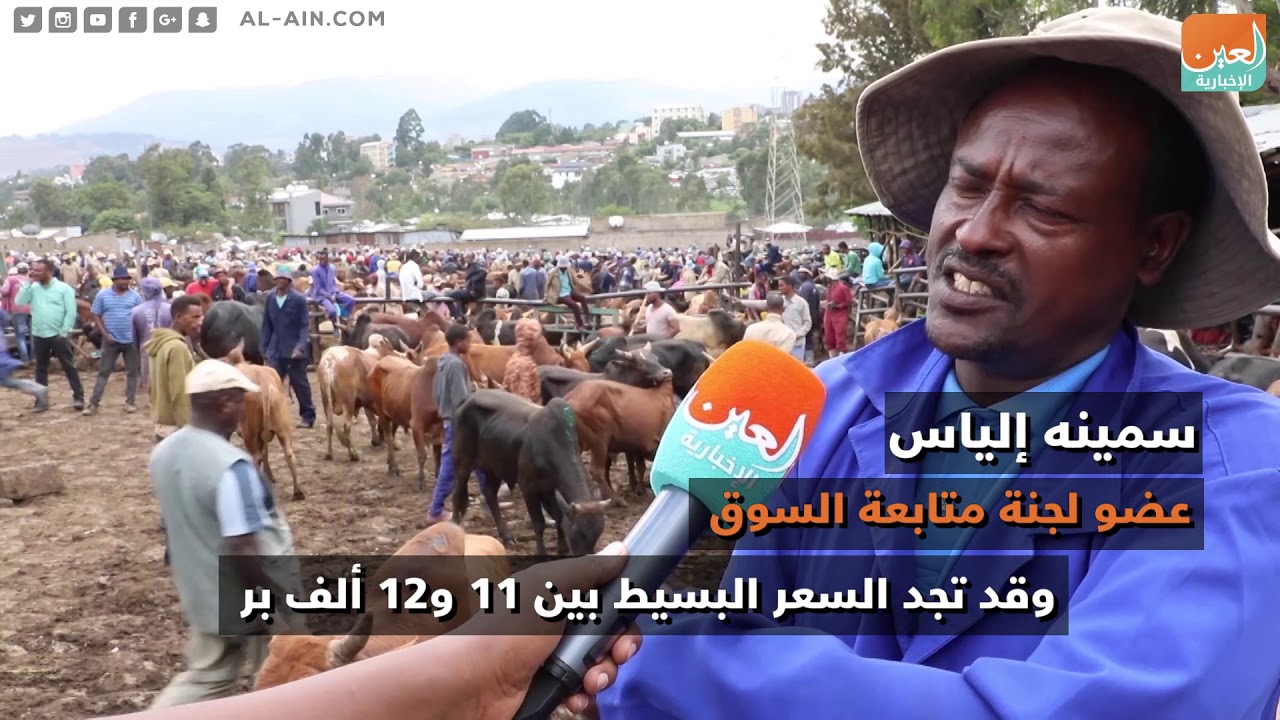 تجارة المواشي.. نشاط اجتماعي قديم في إثيوبيا