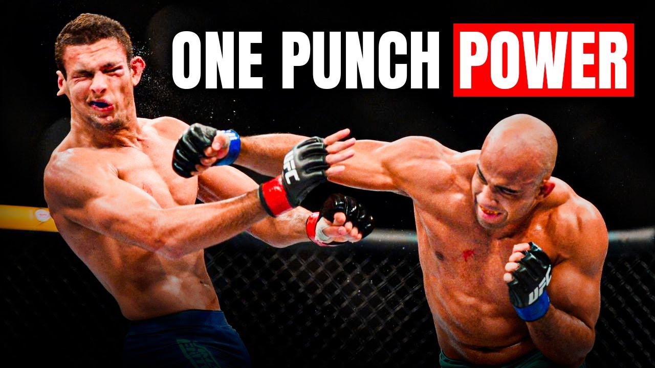 10 HARDEST HITTERS in MMA History