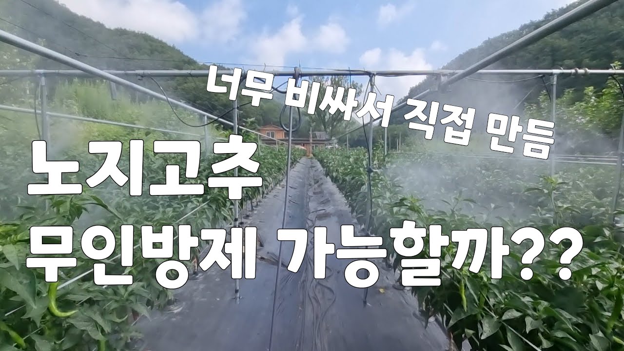 노지고추 무인방제 가능할까? 너무 비싸서 내가 직접 만든 무인방제 후기