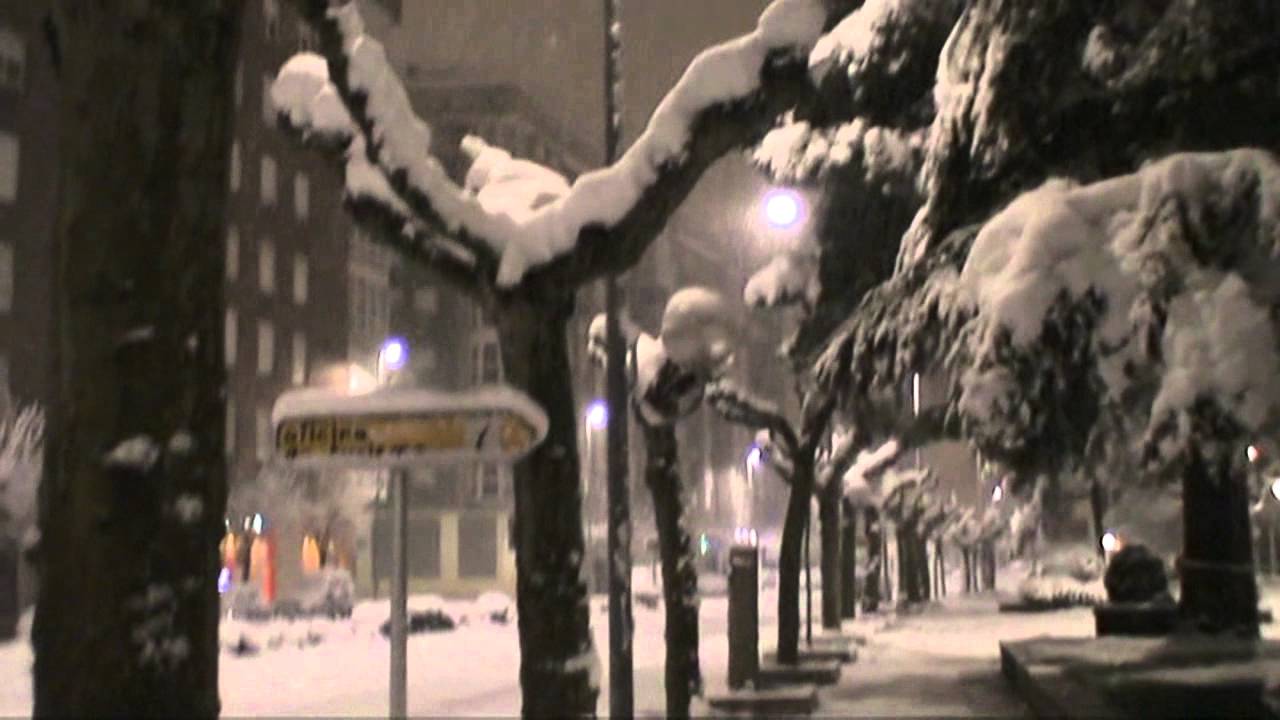 Nevada en Miranda de Ebro