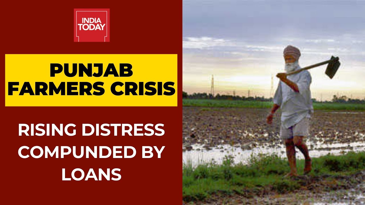 Punjab's Rising Agrarian Distress Compounded By Loans; 86% Farmers Under Debt