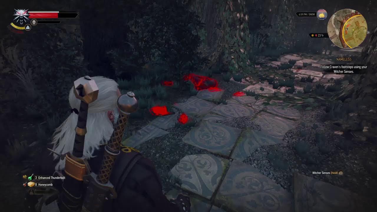 The Witcher III - SKELLIGE