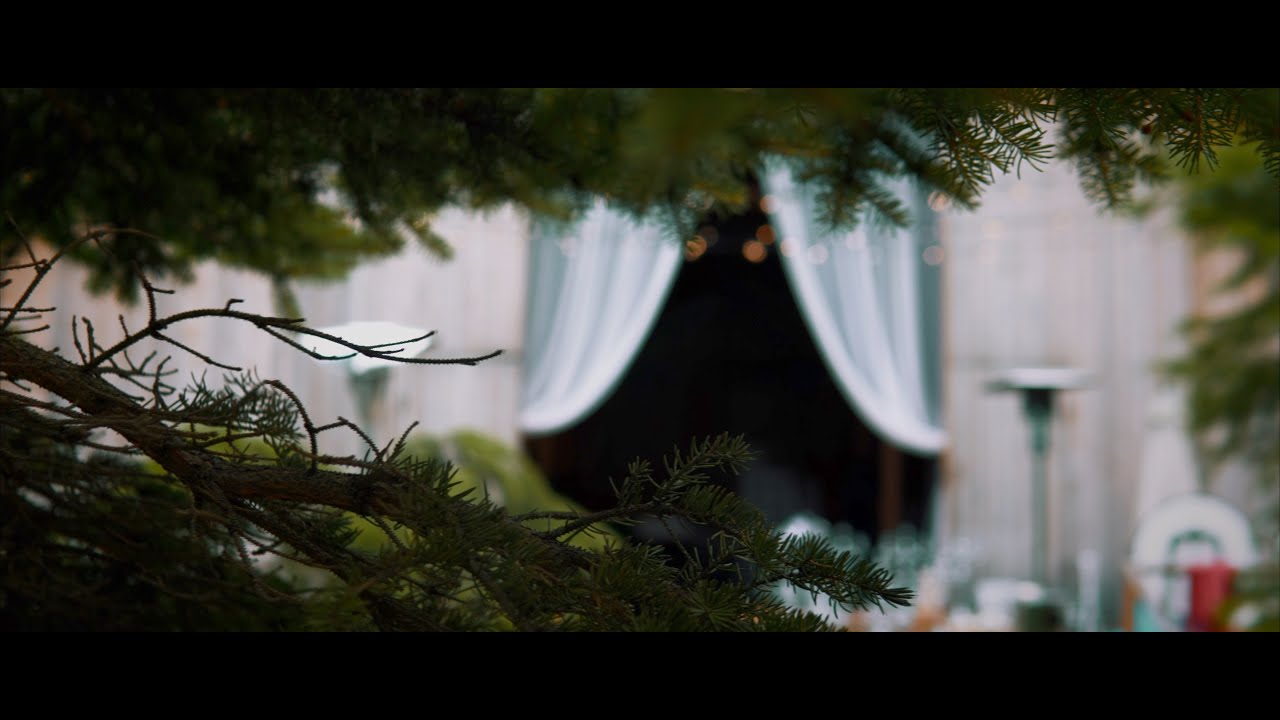 Wedding / Hadar Chalet / Teaser