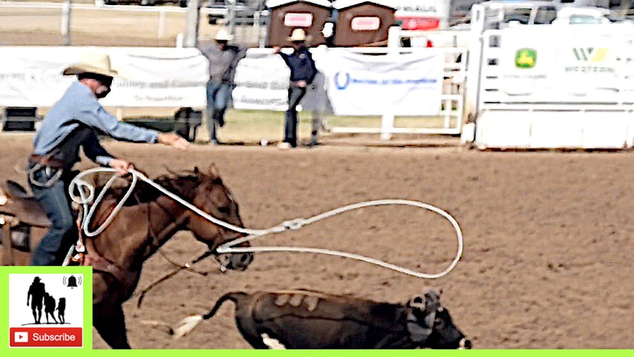 Senior Steer Roping 2nd Go-Part 2🐂 2024 Spicer Gripp Memorial Roping