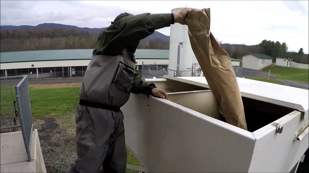 Raising Trout in Virginia – Episode 2