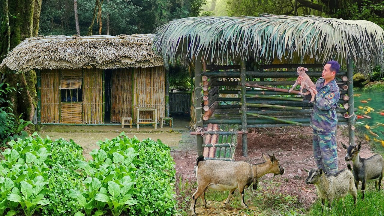 Building a Goat Shed Out of Bamboo — The Life of a Young Soldier After Divorce