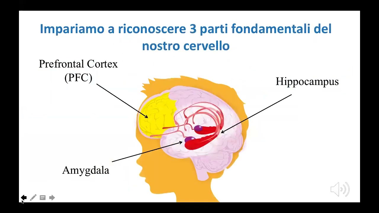 Yantra Yoga Kumar Kumari. Progetto "Semi di Consapevolezza" ASIA ONLUS
