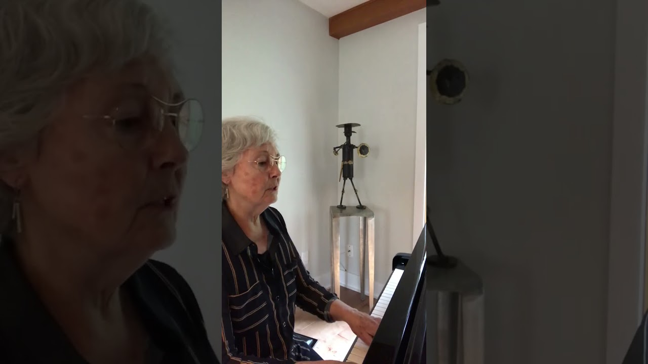 Petit matin, Sylvain Leli&egrave;vre (piano/voix)
