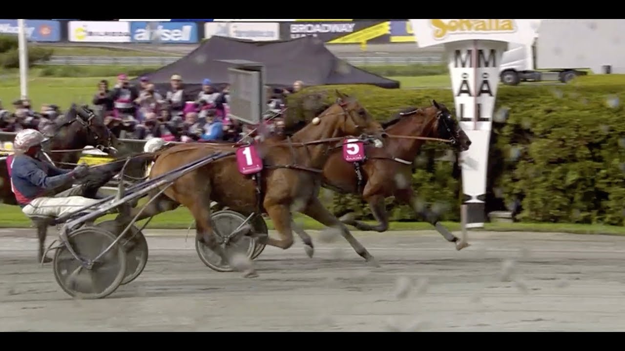 Elitloppet 2019 -  DIJON 1.10,3 - Romain Derieux -  Solvalla 26 05 2019