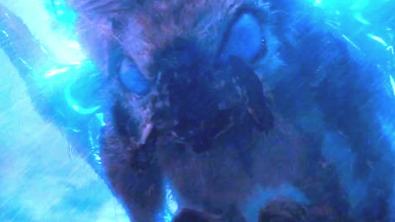 Rebirth of Mothra Theme Song - Godzilla vs. Kong (2020) Fan Soundtrack