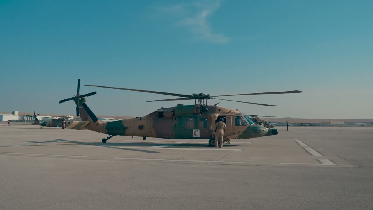 Gaza Emergency Aid Delivery