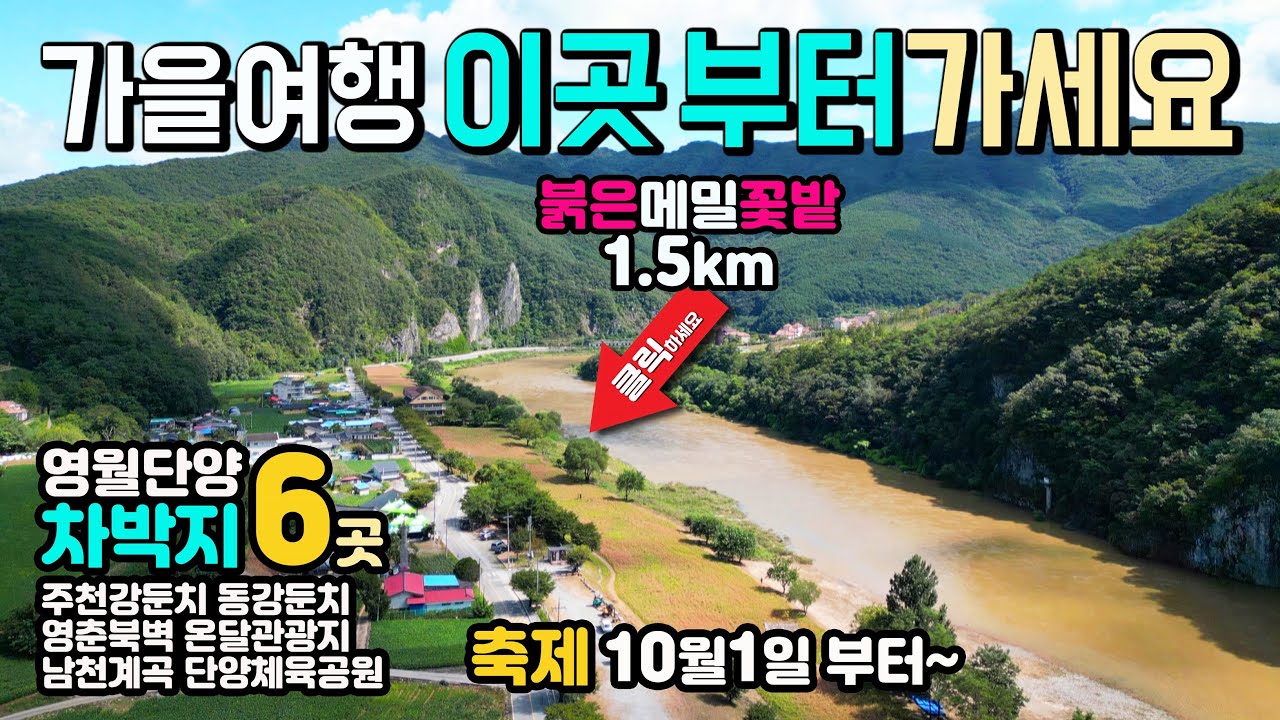 단양 영월 동강 믿고가는 차박지 6곳, 동강 붉은메밀꽃 축제 10월1일 부터, 차박 실태정보 주천강둔치 동강둔치 영춘북벽 온달관광지남천계곡 단양체육공원 캠핑카여행