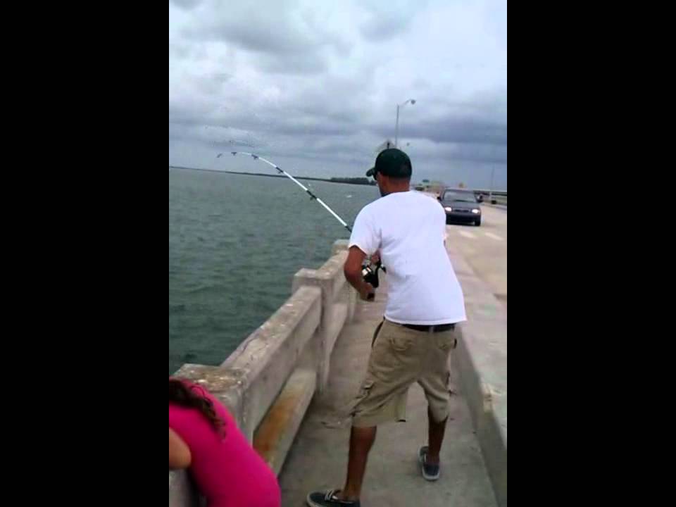 Stingray Fishing Skyway Pier Tampa Bay DK Status