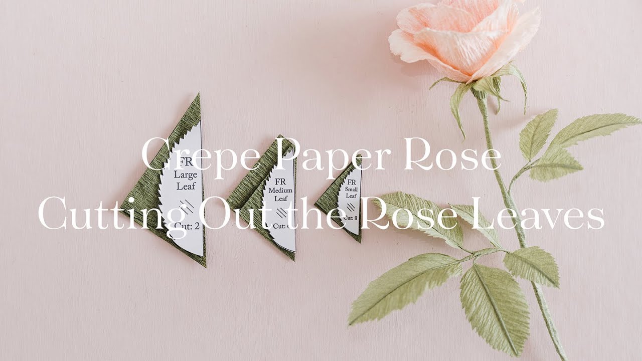 Crepe Paper Rose - How to Cut Out Paper Rose Leaves
