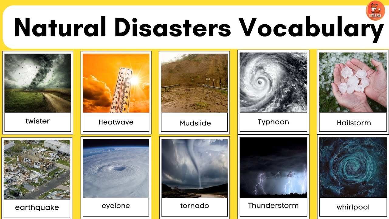 Natural Disasters | Top 50 Natural Disaster Words in English #kidslearning #weather #disaster