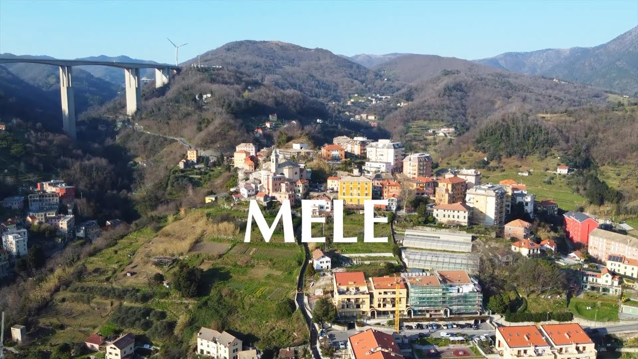 Mele