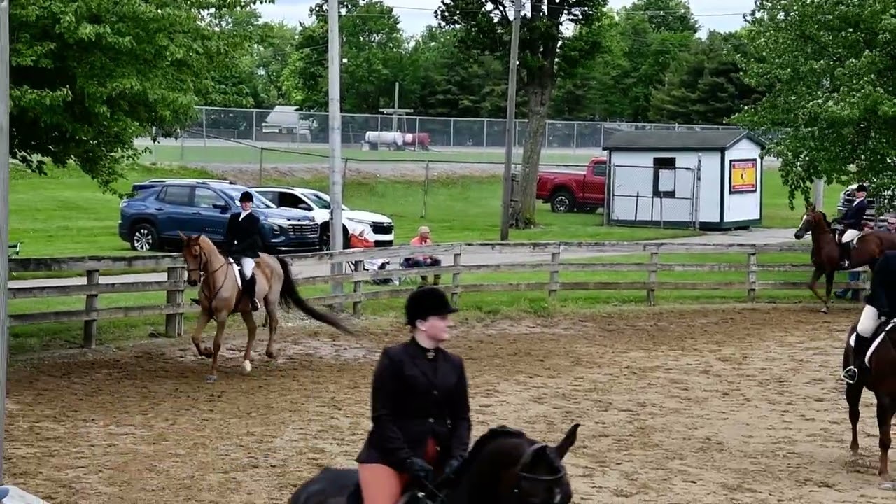 Nic and Frosty in Class 70 - Adult Hunt Set Equitation @ RWB on May 24, 2025 @ Canfield Fairgrounds