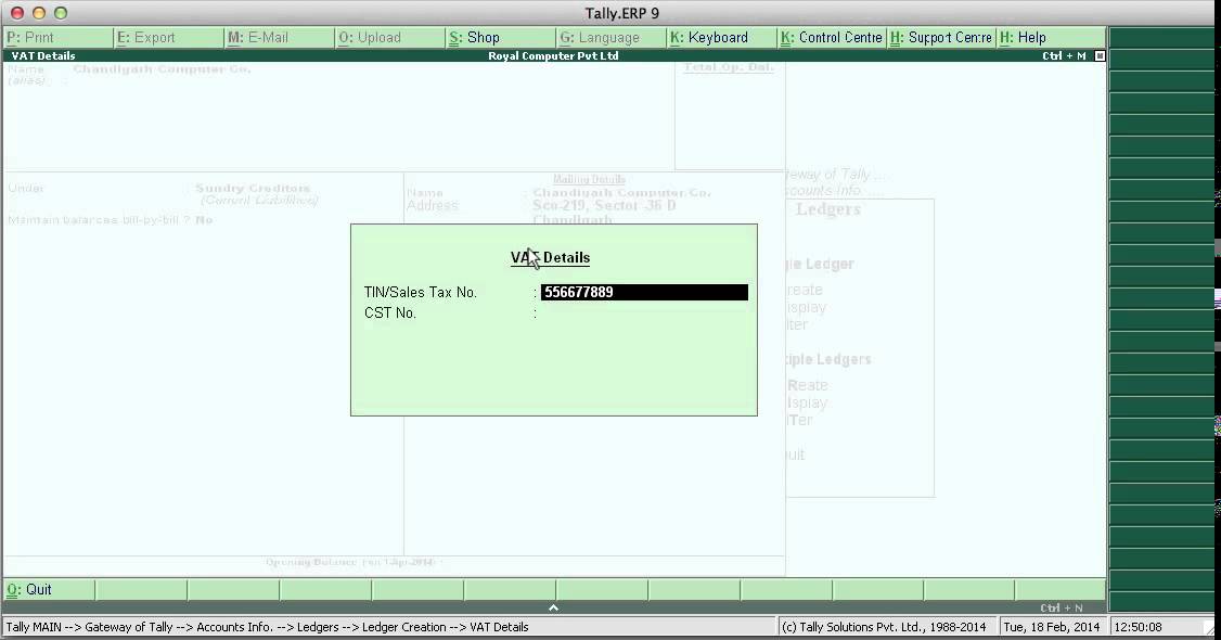 Tally erp 9 Vat entry and Vat returns with Actual Business Data