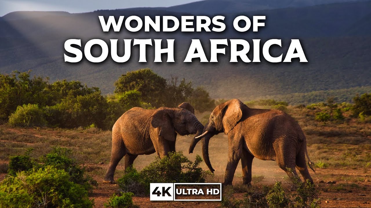 Wonders of South Africa | Witness the MOST AMAZING Landscapes of South Africa