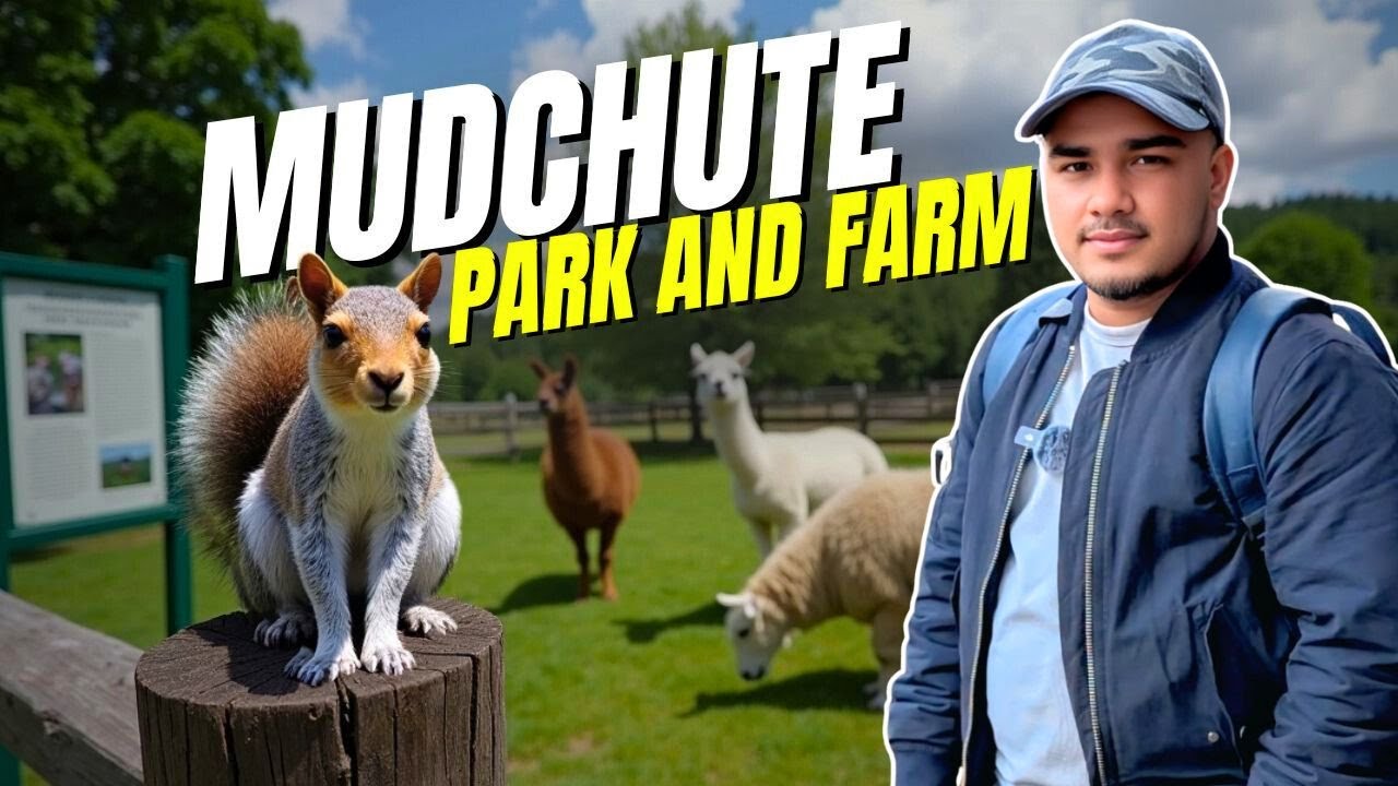 🐑 Mudchute Farm & Park | London&rsquo;s Urban Countryside