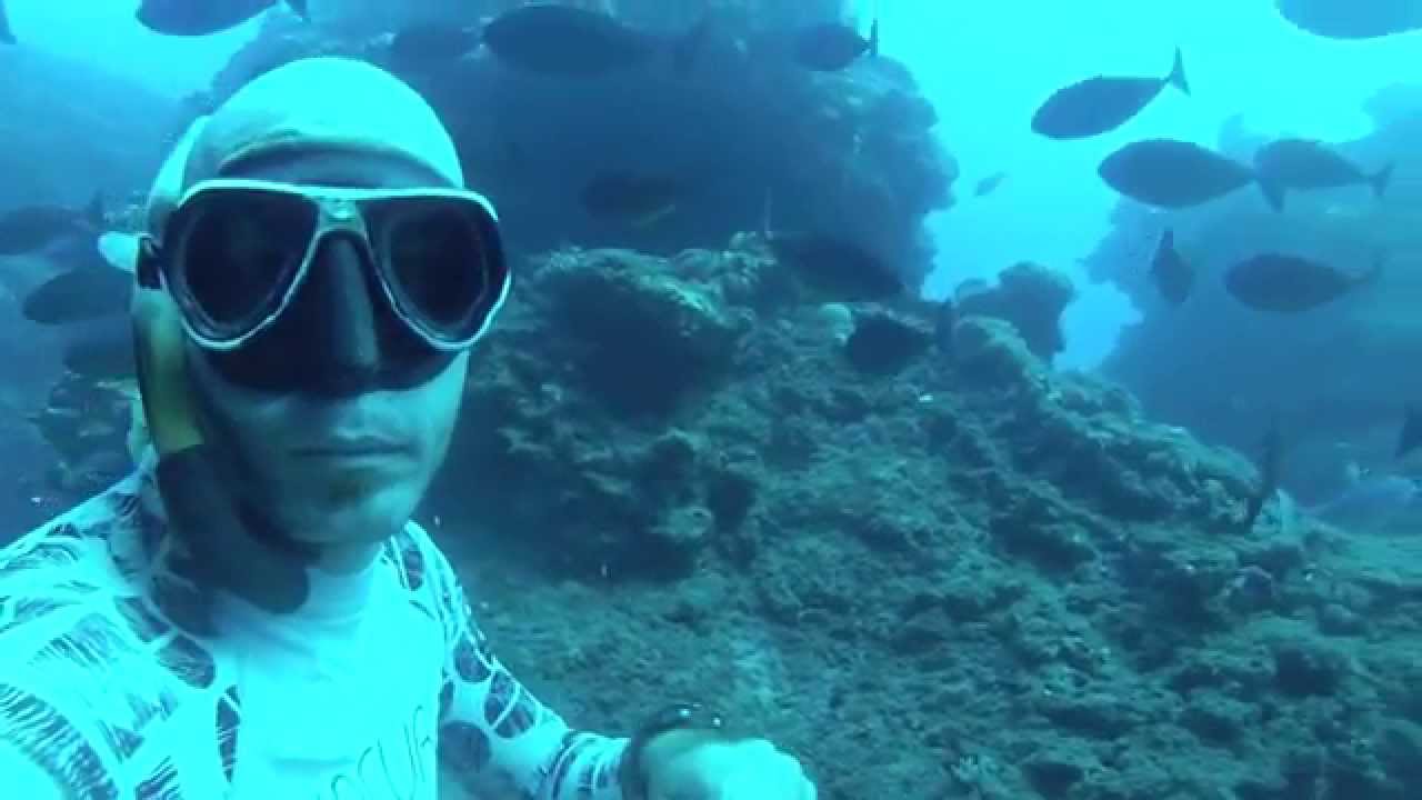 Apnée à Boucan-Canot, ile de La Réunion 2015 , raies, barracudas...