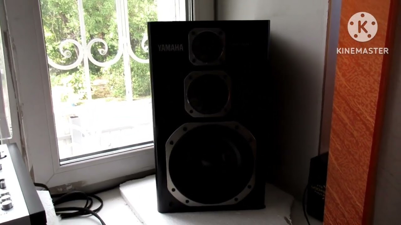 Pioneer PL-A300