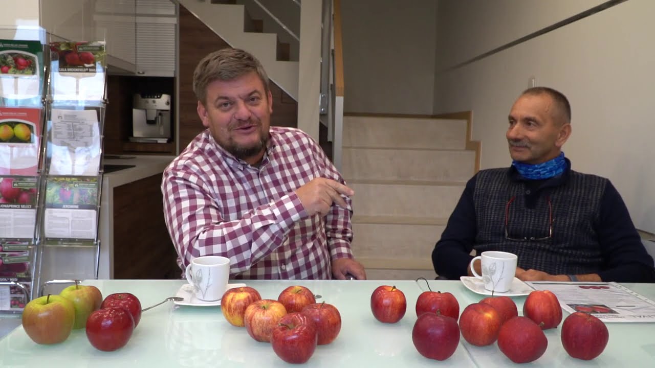 Na jakie odmiany jabłoni stawiają sadownicy?  Marek Bielak i Zbigniew Marek