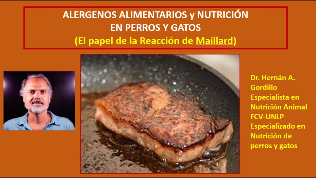 Alergenos alimentarios y nutrición en perros y gatos. el papel de la 