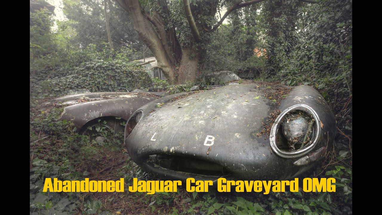 Abandoned Jaguar Car Graveyard with E type with Andre Govia Urbex