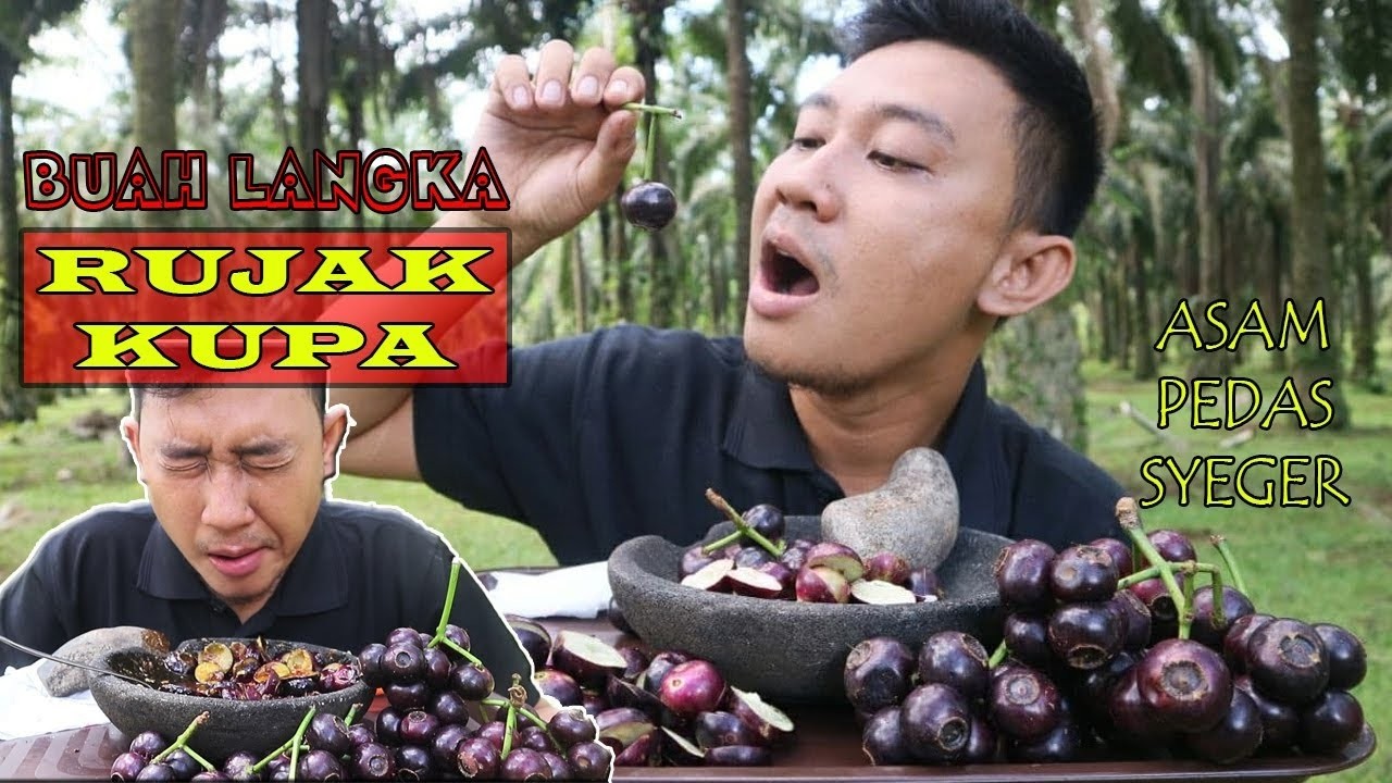 MUKBANG Rujak Buah Gowok (Kupa) Pedas Asam Segar! Buah Langka Bikin Penasaran 🔥
