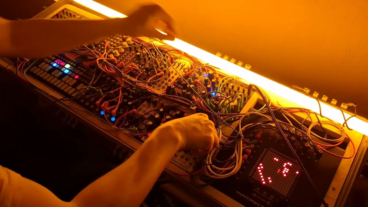 zwierz set 8.02.2026