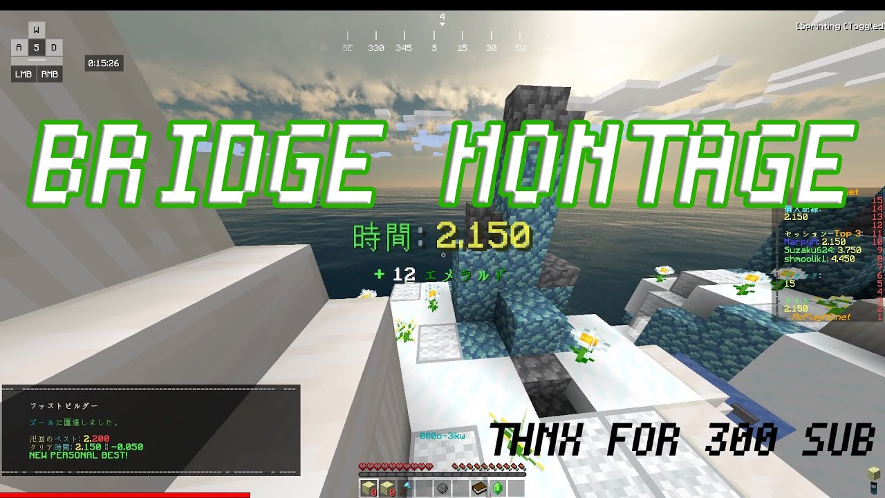 【minecraft】bridge montage
