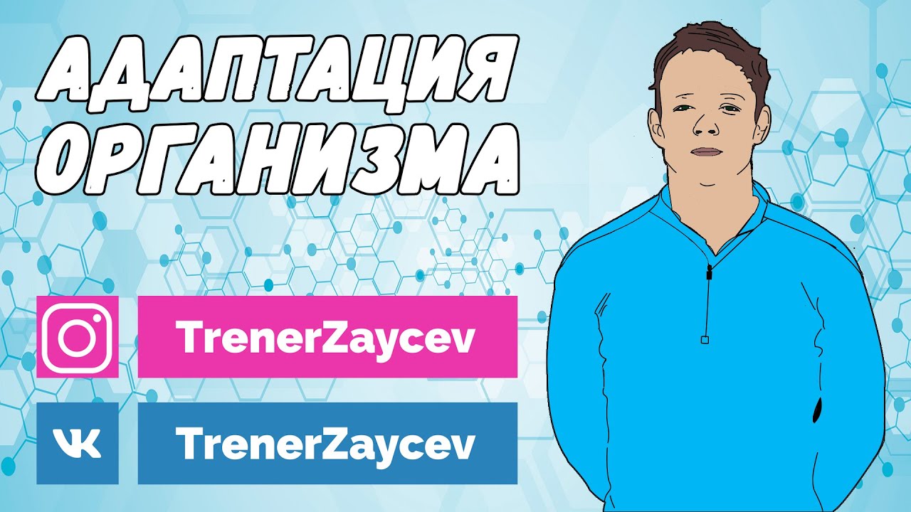 06.  Адаптация или 