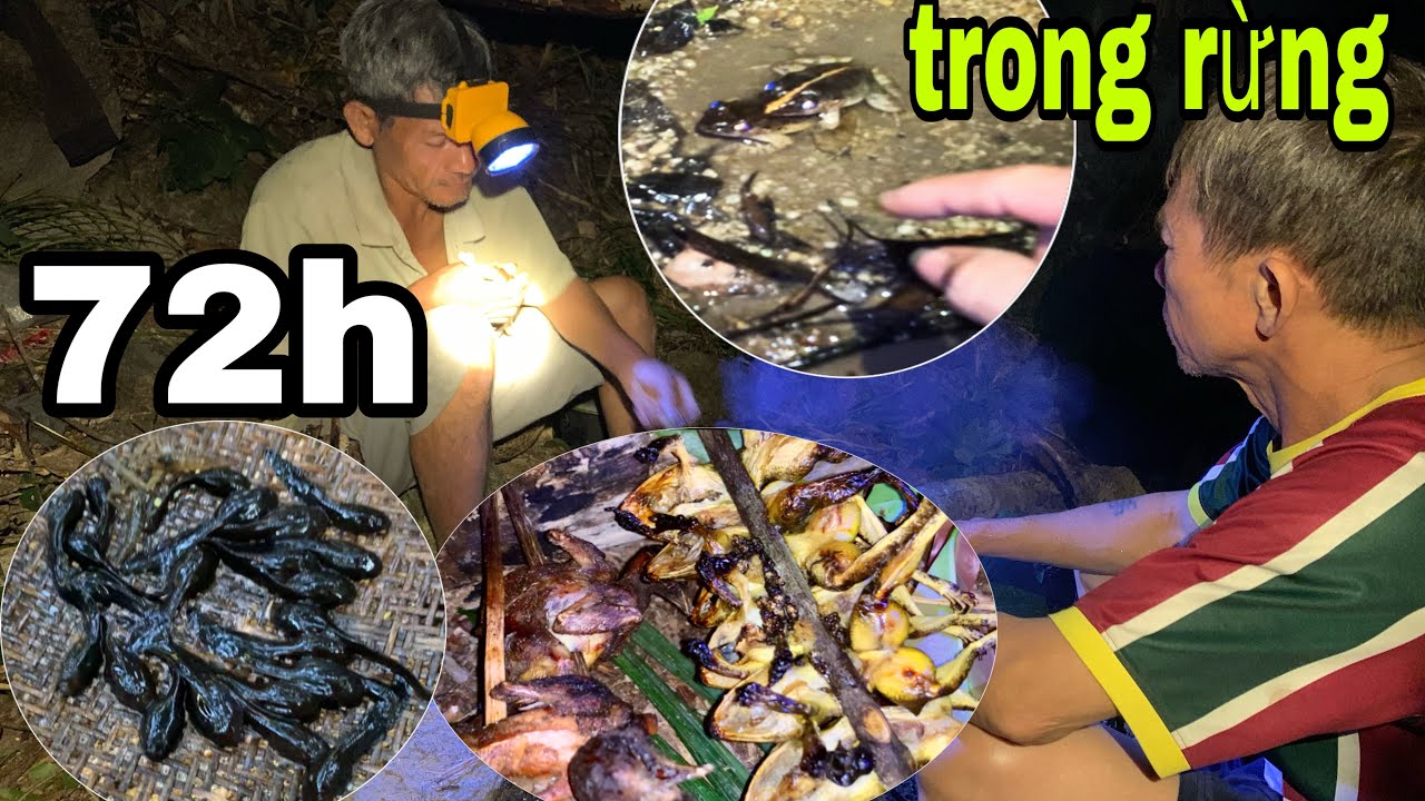 72h trong rừng sâu | Tìm kiếm thức ăn | Bắt ếch, nòng nọc và thưởng thức món ăn tổng hợp đặc sản #t1