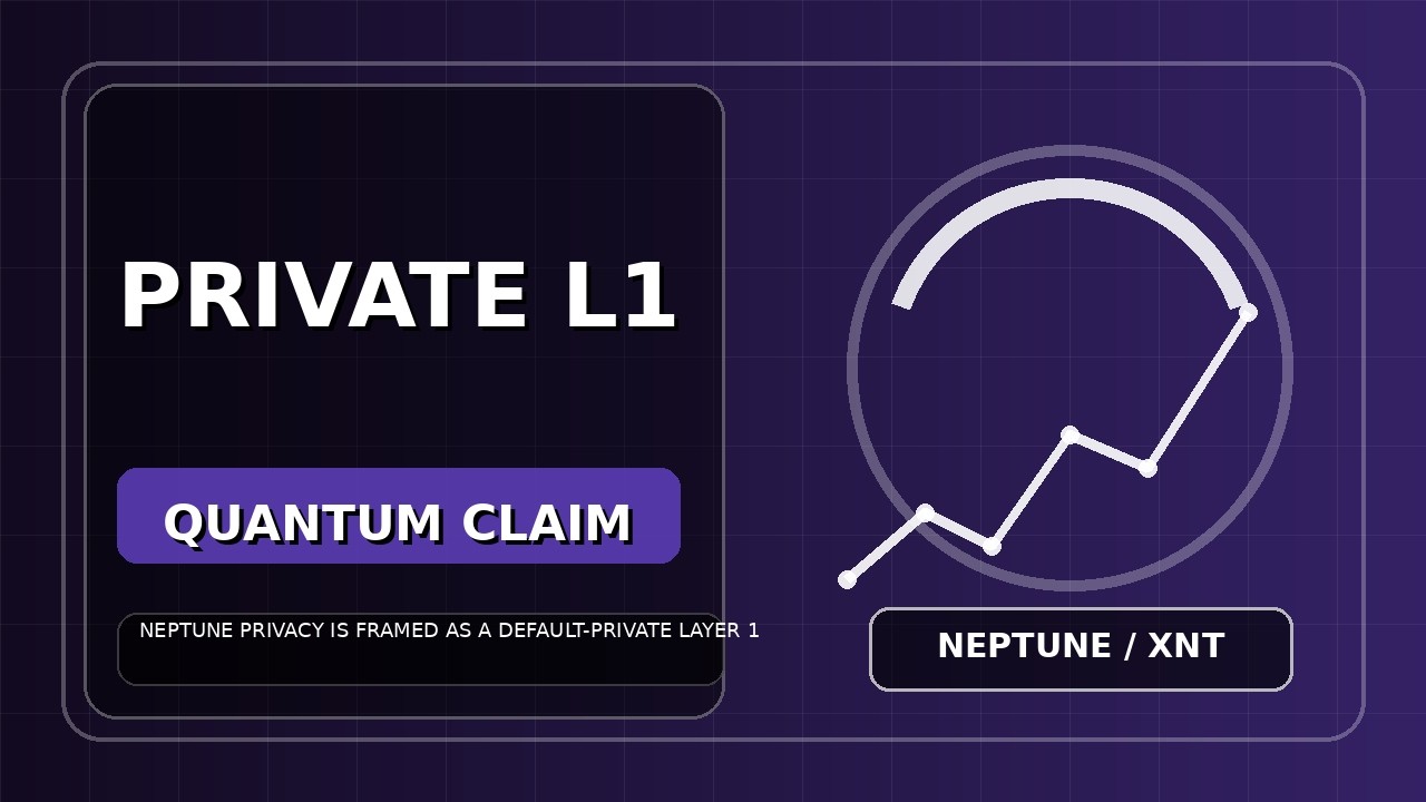 why neptune privacy Gets Attention as why neptune privacy Pushes Quantum DeFi